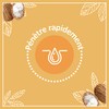 Le Petit Marseillais Bálsamo Labial Lip Balm Shea Butter, 2