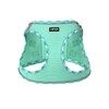 AMTOR Small Dog Harness with Leash Set, No Escape Easy