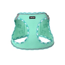 AMTOR Small Dog Harness with Leash Set, No Escape Easy Walk Puppy Harnesses for Training Walking, Step-in Reflective Soft Dogs Vest for XS S Medium Extra-Small Large Sized Dog(Green,S)