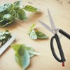 PETA Easi-Grip Spring Loaded Kitchen Scissors - Stainless Steel Self