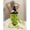Jabón Líquido Oleum Vitae Cucumber Breeze Shower Gel, 360 G