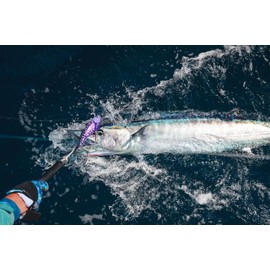 Madmacs 200mm High Speed Sinking 8" Trolling Lure for Bluefin Tuna Yellowfin Wahoo and Mahi Mahi, Pink Lava