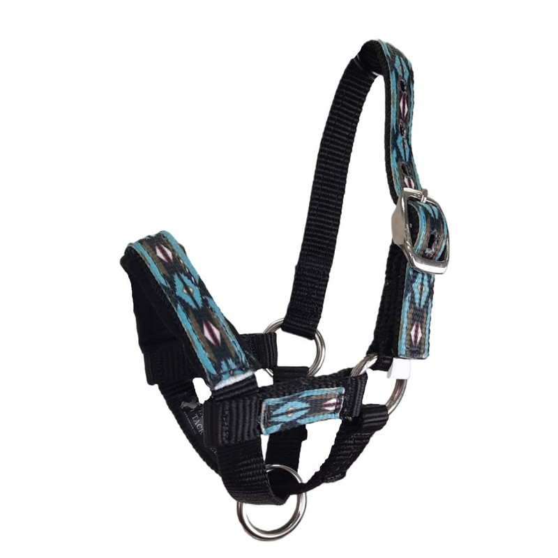 Tahoe Tack Nylon Overlay Alpaca Halter with Padded Noseband (Blue