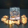 Sleep Sakes Indoor String Light 10 LED - Lion