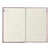 Midori 12860006 Diary, 10-Year Consecutive Door