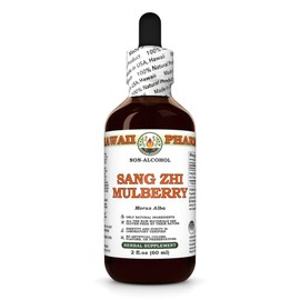 Sang Zhi Mulberry (Morus Alba) Dry Twig Glycerite, Made in Hawaii, All Natural, Vegan, Lab Tested Alcohol-Free Liquid Extract - 2 fl.oz