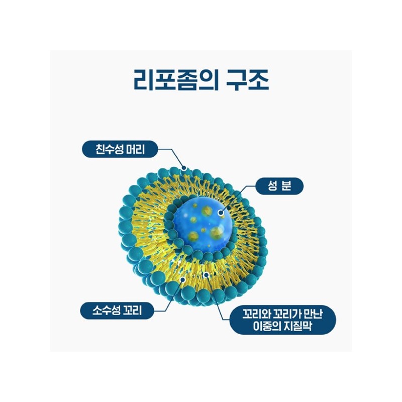 닥터 리포좀종합비타민 리포좀 리포솜 비타민C D 약1개월분 Doctor Liposome Comprehensive