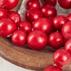 Red Metallic Ball String Garlands Set of 2 by Factory