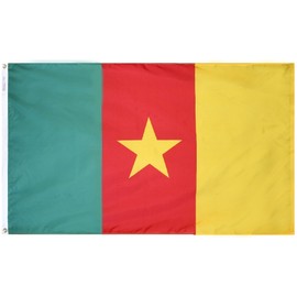 Cameroon Flag Nylon 2 ft. x 3 ft. - Made in the USA from Flags Unlimited