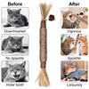 4 Pack Silvervine Cat Chew Sticks, Catnip Gall Fruit Dental