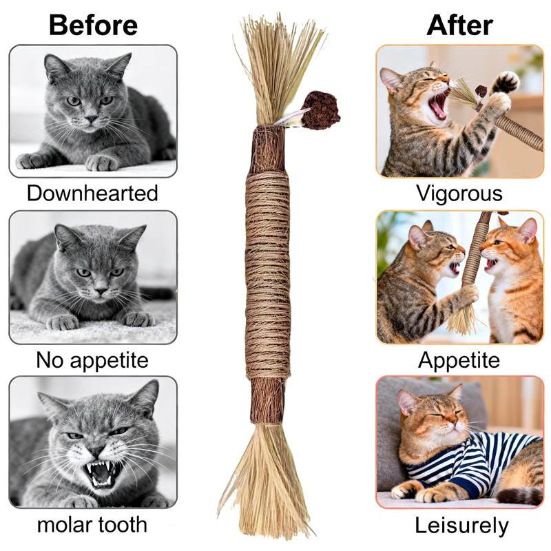 4 Pack Silvervine Cat Chew Sticks, Catnip Gall Fruit Dental