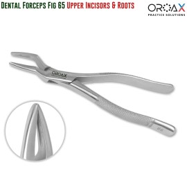 OROAX Tooth Extraction Forceps Fig 65 - Dental Upper Root & Incisors Instrument