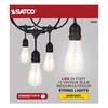 Satco S8036 LED Indoor/Outdoor String Lights, Black, ST19 Bulbs, 24