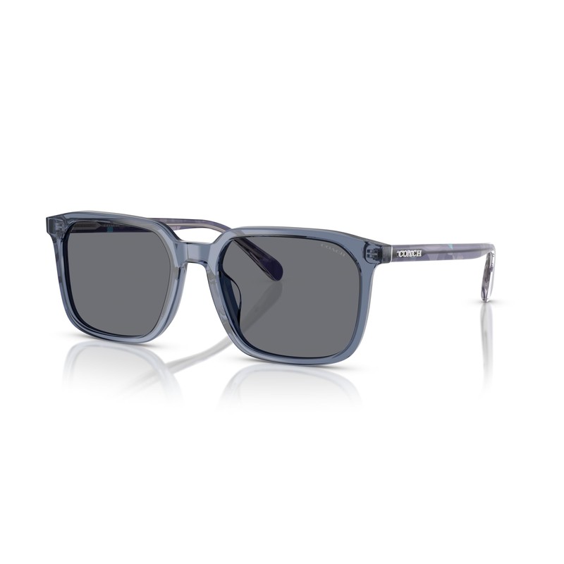 Coach 0HC8411U TRANSPARENT BLUE 55 Sunglasses, Transparent blue, 55