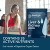 BestLyfe Liver & Kidney Nutritional Support | 120 Capsules |