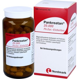 PANKREATAN 20,000 Ph.Eur. units msr.hard caps.
