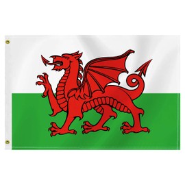 2×3 FT Welsh Flag,Medium 60×90 CM Cambrian Outdoor Banner,100D Decor,Doube Side Printing For Patio Garden With Brass Gromment