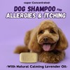 Lavender Dog Shampoo - Value Pack - 9 Pcs