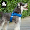 WINHYEPET Truelove Dog Harness Soft Mesh Reflective Breathable Step-In Dog