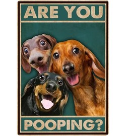 SHOOHS 8x12inchs Retro Metal Sign Are You Pooping funny bathroom signs Funny Dogs Tin Vintage Signs for Home Bar Bathroom