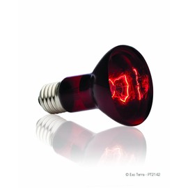 EXO TERRA PT2142 Heat Glow Infrared Irradiated Spot Lamp, 75 W, Red Light, Lizards, Tortoises, Day and Night Use