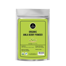 Naturevibe Botanicals Organic Amla Berry Powder, 8 ounce by Naturevibe Botanicals - Organic