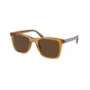 Coach HC8374F Sunglasses, TRANSPARENT BUTTERCUP FRAME / BROWN SOLID LENS