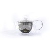 TESIS TISANA CON JENGIBRE, ROOIBOS, LEMONGRASS, MENTA, HIERBABUENA Y CARDAMOMO;