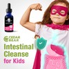 Cedar Bear - Intestinal Cleanse for Kids, Liquid Herbal Supplement