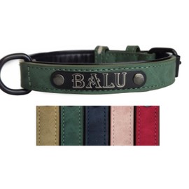Jacks O Be Hundehalsband Halsband Name Gravur personalisiert Haustier Hund Katze Leder (M, Grün)
