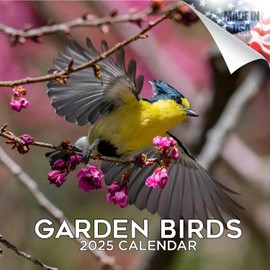 2024 2025 Garden Birds - Bird Watcher Monthly Wall Calendar - 12 x 24 Open - Thick No-Bleed Paper - Giftable - Academic Teacher's Planner Calendar Organizing & Planning