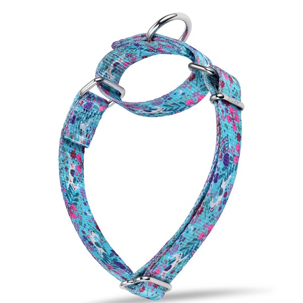 Dazzber Forest Elf Series Martingale Dog Collars Silky Soft with