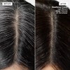 L'oreal Excellence Creme Permanent Hair Color, Medium Ash Brown No.5.1,