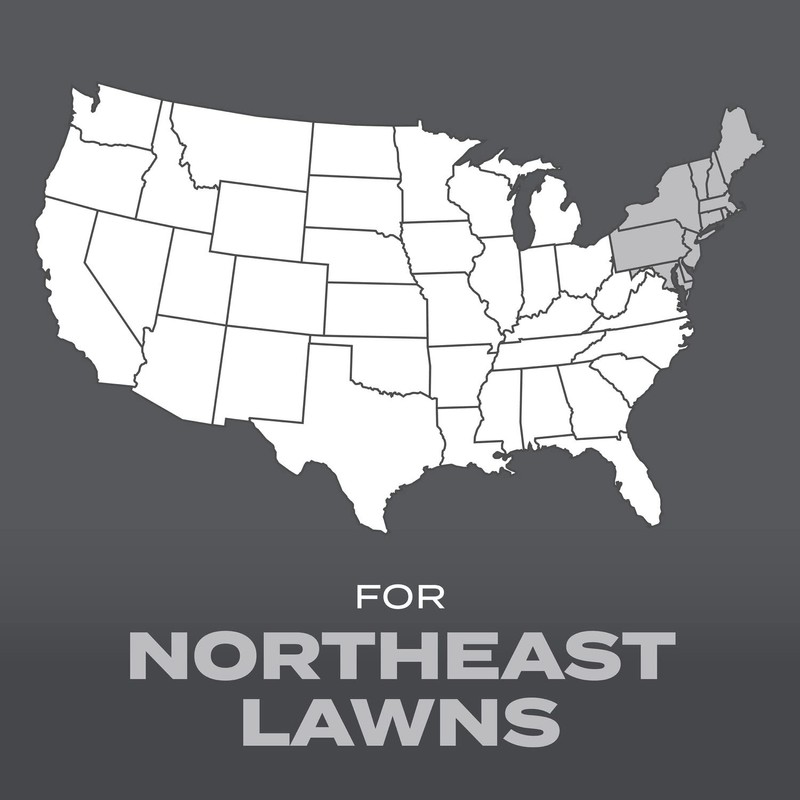 Scotts Turf Builder Grass Seed Northeast Mix - Grass Seed