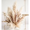 Decorative Tall Pampas Grass for Floor Vase – Premium Large