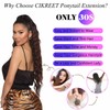 Claw Clip Ponytail Extension for Women Curly Ponytail Extension for