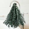 Koceko 36 Pcs Dried Eucalyptus for Shower Hanging - 17''