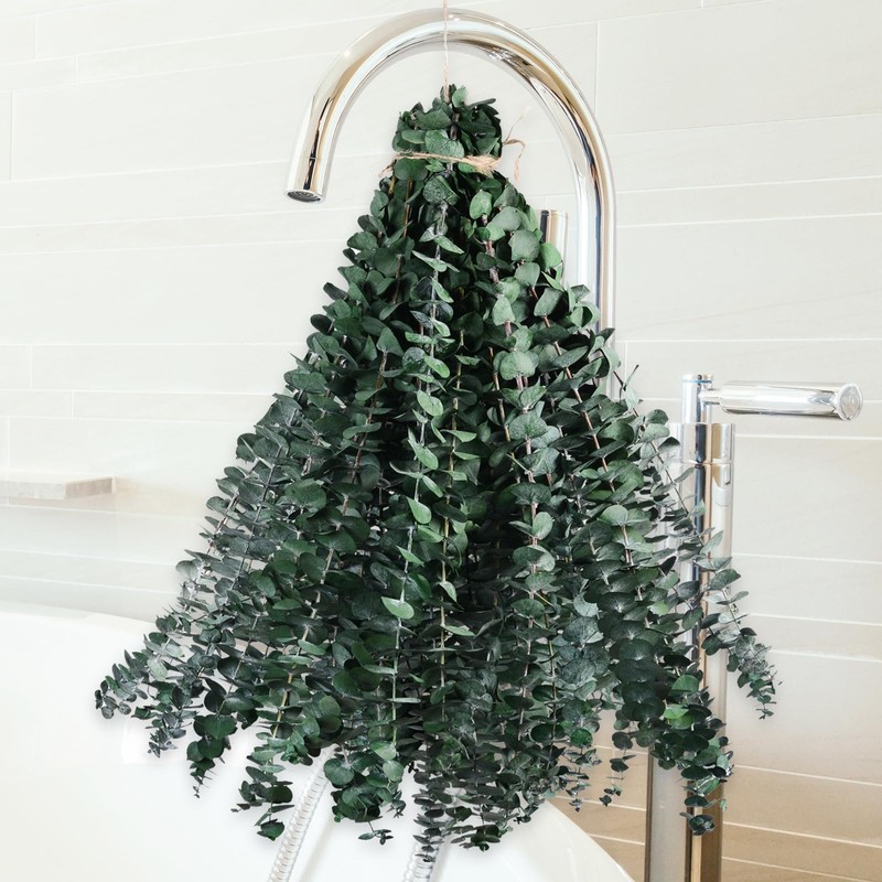 Koceko 36 Pcs Dried Eucalyptus for Shower Hanging - 17''