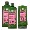 Yves Rocher Kit Shampoo Y Acondicionador Protección De Color