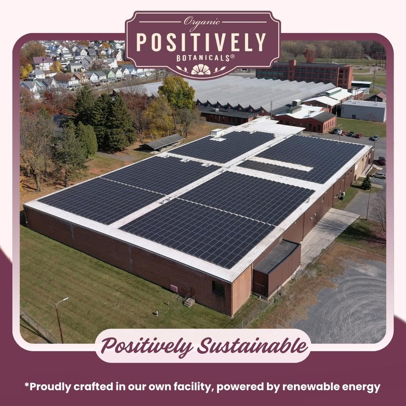 Organic Positively Botanicals Company, Chicory Root Herbal Tea Bags, 20