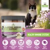 Strawfield Pets L-Lysine Immune Support for Cats & Kittens -