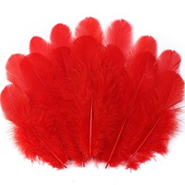 Soarer Red Craft Feathers Bulk - 300pcs 3-5inch Natural Feathers for Wedding Home Party, Dream Catcher Supplies and DIY Crafts(Red)