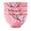 Fignner Japanese Style Ceramic Rice Bowls, Pink Cherry Blossom Design,