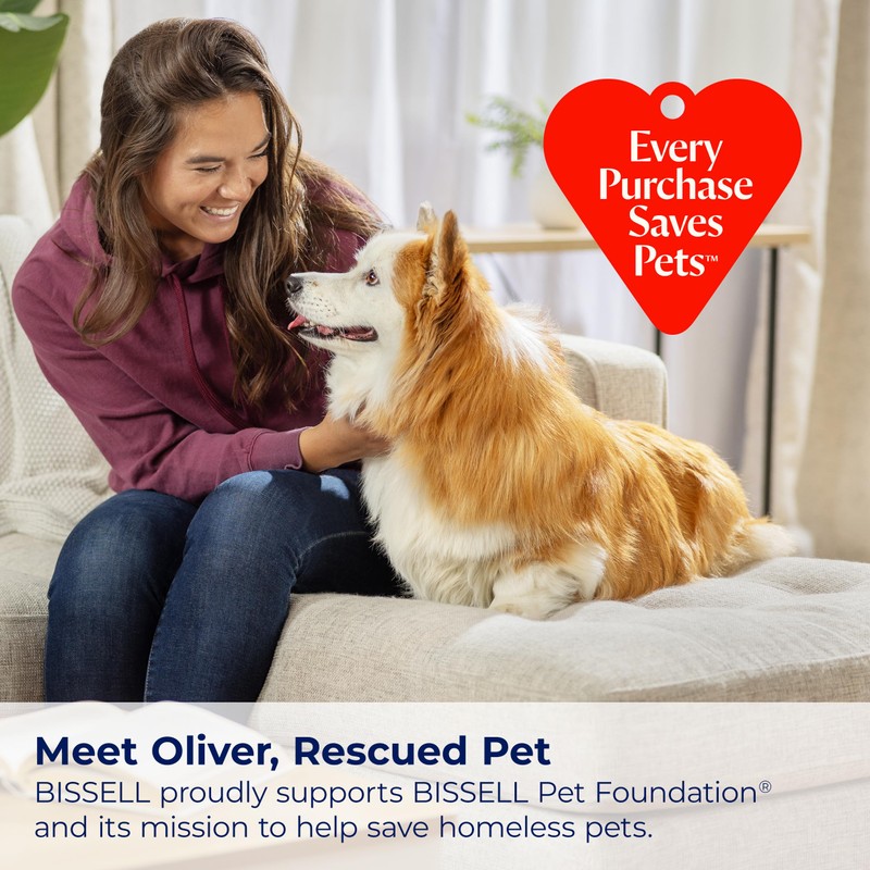 Bissell Limited Edition Woodland Pine Multi-Surface Wash Formula, 3891, 16