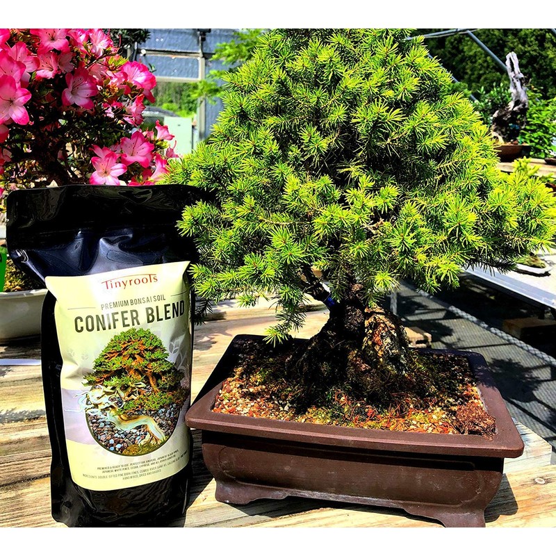 Conifer Bonsai Soil by Tinyroots – 100% Formulated and Pre-Mixed