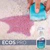 ECOS PRO PL9707/6 Stain and Odor Remover (Pack of 6)
