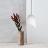 Vaguelly 5 Pieces White Frosted Lampshade Fixtures Replacement Shades for