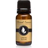 Lemon Sugar Premium Grade Fragrance Oil - 10ml - Scented