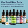 Feel Bach! Natural Homeopathic Remedy - Pine Dropper Flower Essence