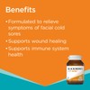 Blackmores Lypsine 30 Tablets